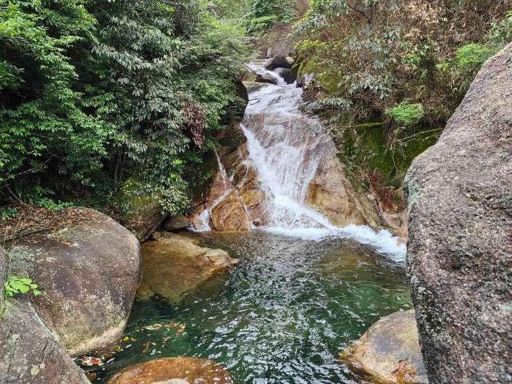 绥宁县：团聚“青”力量，谱写县域共青团改革新篇章