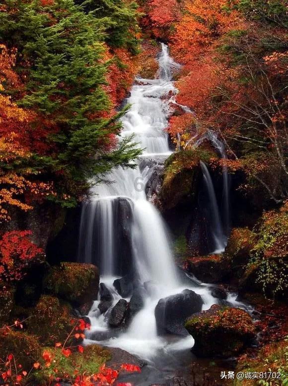 逃出塞里洛斯村