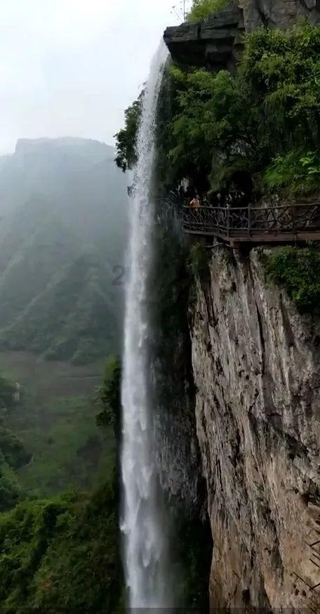 汉王纷争